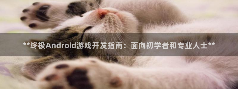 沐鸣娱乐2登录平台是什么