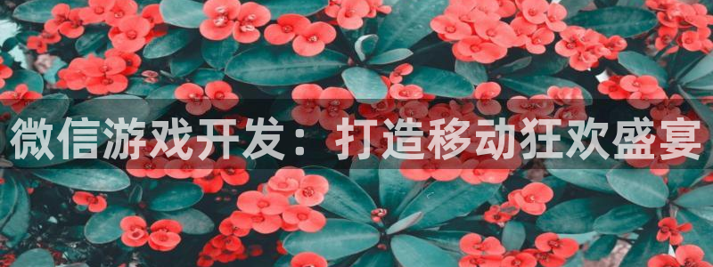 沐鸣娱乐2注册官网