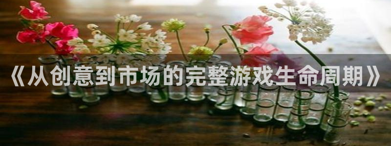 沐鸣2注册登录地址：《从创意到市场的完整游戏生命周期》