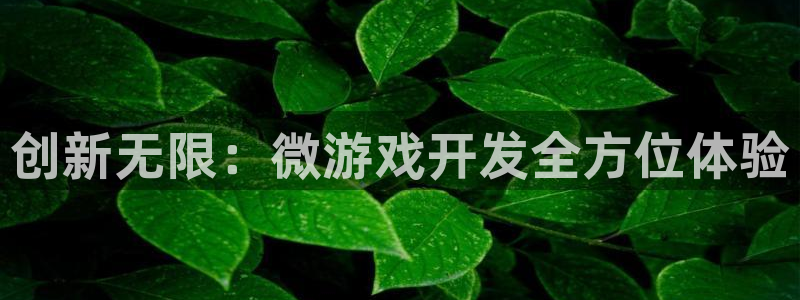 沐鸣娱乐2登录平台官网：创新无限：微游戏开发全方位体验