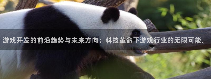 沐鸣娱乐2登录平台是什么：游戏开发的前沿趋势与未来方向：科技革命下游戏行业的无限可能。
