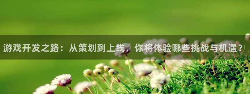 沐鸣娱乐臼44262：游戏开发之路：从策划到上线，你将体验哪些挑战与机遇？