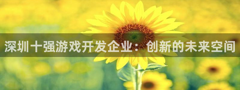 沐鸣2登陆：深圳十强游戏开发企业：创新的未来空间