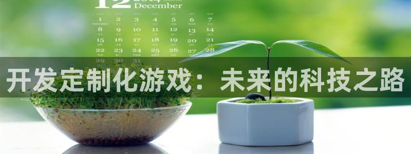 沐鸣娱乐2注册平台：开发定制化游戏：未来的科技之路