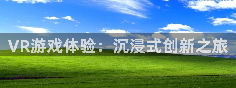 沐鸣娱乐2可靠吗：VR游戏体验：沉浸式创新之旅