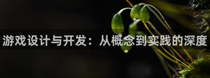 沐鸣2娱乐注册平台：游戏设计与开发：从概念到实践的深度