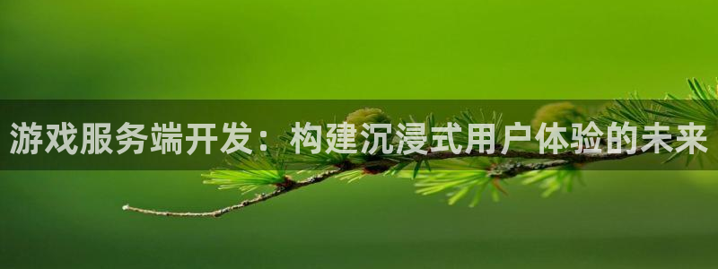 沐鸣2平台官网登录：游戏服务端开发：构建沉浸式用户体验的未来