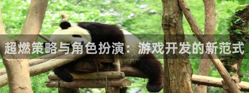 沐鸣2登录测速：超燃策略与角色扮演：游戏开发的新范式